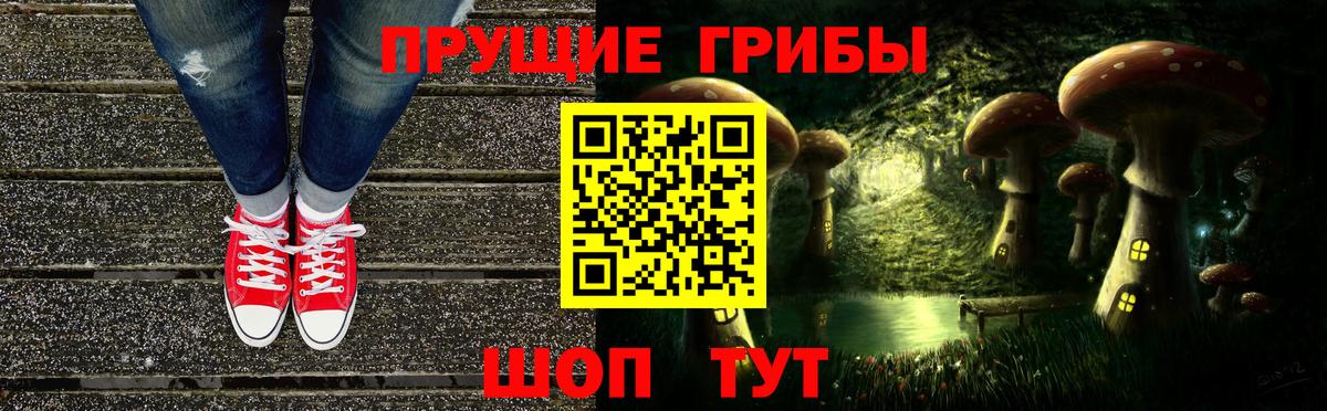 Галлюциногенные грибы Cubensis Вичуга