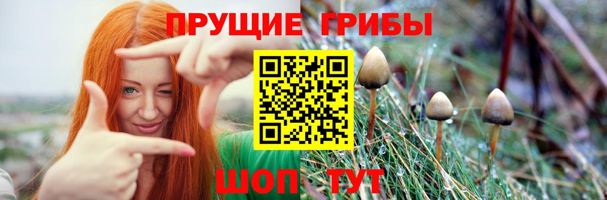 Галлюциногенные грибы MAGIC MUSHROOMS  Вход с VPN  Вичуга 